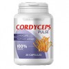 Cordyceps Pulse - Přípravek na hypertenzi