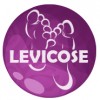 Levicose - gel pro léčbu křečových žil